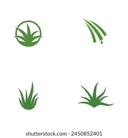 Aloe vera vector illustration design icon template