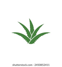 Aloe vera vector illustration design icon template