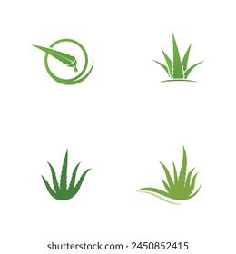 Aloe vera vector illustration design icon template