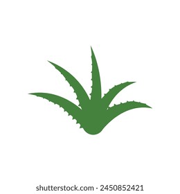 Aloe vera Ilustración vectorial diseño icono Plantilla