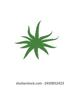Aloe vera Ilustración vectorial diseño icono Plantilla