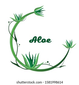 Aloe vera vector illustration with frame. Hand drawn artistic isolated object on white background. Natural cosmetic ingredient. Botanical drawing of lemongrass. Herbal treatment. Banner, poster, label
