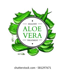 Aloe vera vector illustration with frame. Hand drawn artistic isolated object on white background. Natural cosmetic ingredient. Botanical drawing of lemongrass. Herbal treatment. Banner, poster, label