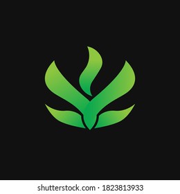 aloe vera vector logo template with gradient