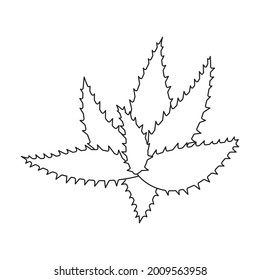 Aloe vera vector outline icon. Vector illustration plant on white background. Isolated outline illustration icon of aloe vera .