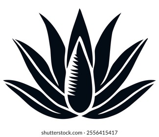 Aloe Vera Vector Silhouette, Agave plant vector, on a white background