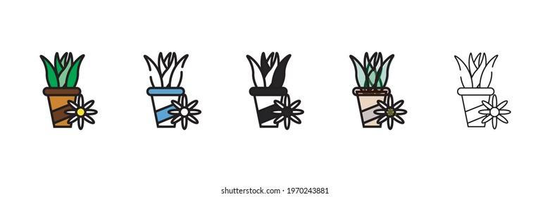 aloe vera vector type icon