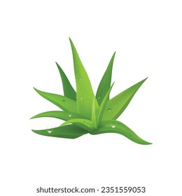 aloe vera vector type icon