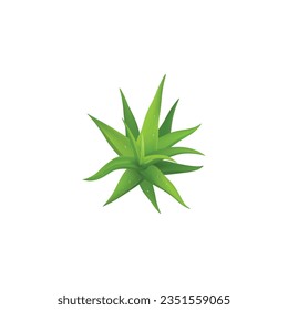 aloe vera vector type icon