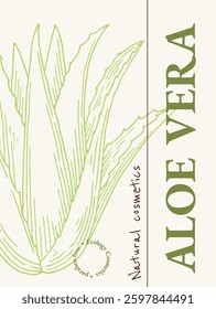 Aloe vera vertical poster, card design template concept. Natural cosmetics ingredient. Hand drawn ink sketch plant from package design. Ecology concept in beauty industry.