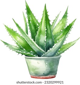 Ilustración de acuarela de Aloe Vera. Diseño de elementos submarinos dibujados a mano. Elemento de diseño marino vectorial artístico. Ilustración para tarjetas de felicitación, impresión y otros proyectos de diseño.