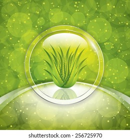 Aloe Vera.Vector illustration