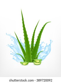 Aloe with water splash. Vector icon. EPS10