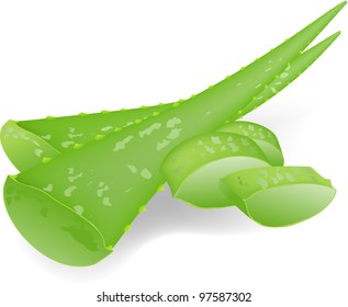 	Aloe-vera.