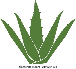 icono de aloevera sobre fondo blanco. logo de aloevera. estilo plano.