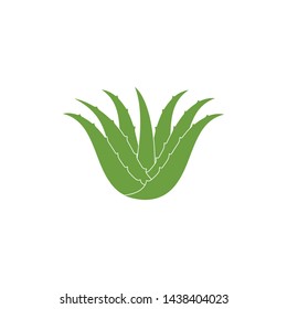 aloevera logo icon vector illustration design template