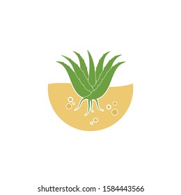 aloevera logo icon vector illustration design template