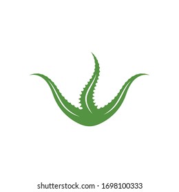 plantilla de diseño de ilustración vectorial del logotipo aloevera