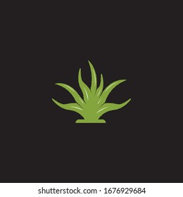 Ilustración vectorial del logo de Aloevera sobre fondo negro 