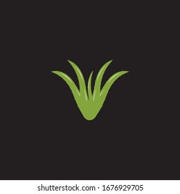 Aloevera logo vector template illustration on black background 