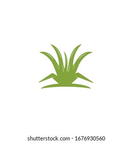 Aloevera logo vector template illustration