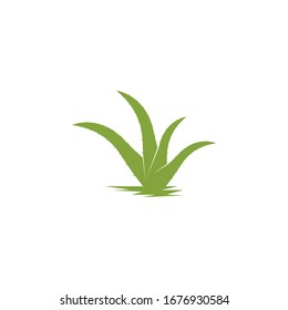 Aloevera Logo-Vektorillustration - Vorlagengrafik