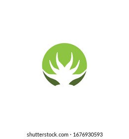 Aloevera logo vector template illustration
