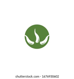 Ilustración vectorial del logo de Aloevera