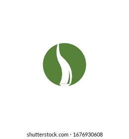 Aloevera Logo-Vektorillustration - Vorlagengrafik