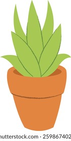 Aloevera Plant Cartoon Flat Vector Illustration Stock