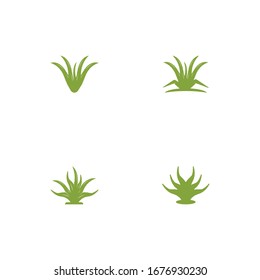 Aloevera set logo vector template illustration
