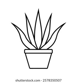 aloevera tree in tub of a line art vector