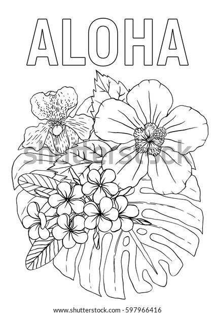 Aloha Coloring Book Page Hibiscus Plumeria 库存矢量图（免版税）597966416