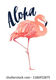 Aloha flamingo illustration.