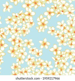 Aloha hawaii flower pattern. Summer plumeria flowers pattern. Hawaiian summer pattern on white background. Tropical flowers print for wallpaper or fabric.