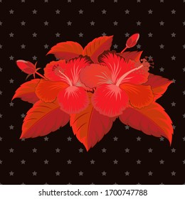 Aloha typography with red and black hibiscus floral illustration for t-shirt print, Vector illustration.