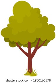 Alone deciduous tree with trunk and dense foliage. High plant with widely spread branches and green leaves. Broad-stemmed deciduous plant. Tree with green foliage isolated on white background