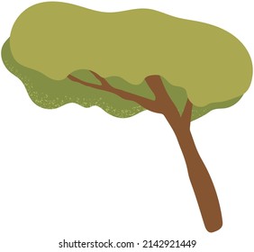 Alone deciduous tree with trunk and dense foliage. High plant with widely spread branches and green leaves. Broad-stemmed deciduous plant. Tree with green foliage isolated on white background