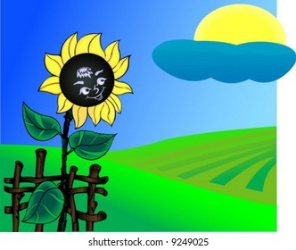 Alone funny sunflower in field
