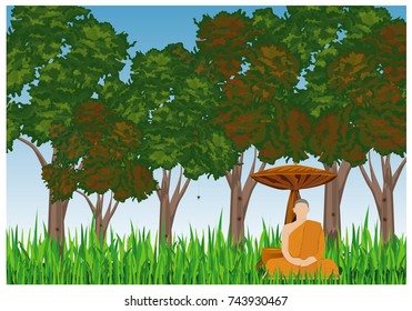 alone monk meditating in forest at night time 
