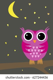 Alone Owl in the Night on Bough