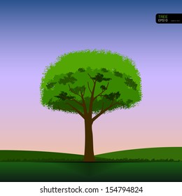 Alone tree in landscape with beautiful sky - Vector illustration