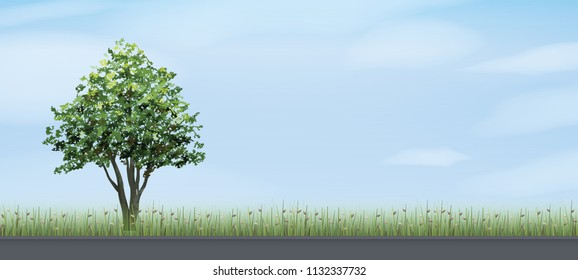 Alone tree and road in green field area with blue sky and clouds background. Outdoor natural abstract background. Use for natural article both on print and website. Vector illustration.