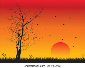 Alone tree with sun and color red orange yellow sky, vector