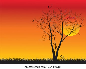 Alone tree with sun and color red orange yellow sky, vector