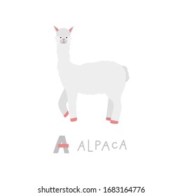 Alpaca animal alphabet cute friendly character. Vector illustration cartoon style. Simple flat clip art for kids child education books, postcard, stickers, poster, modern fashion textile print.