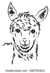 Alpaca. Animal with a black outline. The head of a cartoon alpaca. Vector illustration for websites, web design, backgrounds and print.