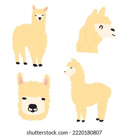Alpaca. Animal. Set of flat hand drawn illustrations.