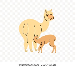 Alpaca con bebé, bebé alpaca chupando leche, Diseño gráfico. Llama, animal, mascota y mamífero, diseño e ilustración de Vector