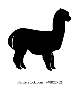 Alpaca black icon .